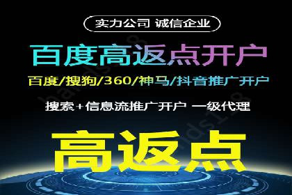 谷歌SEM案例研究：广告预算分配与优化